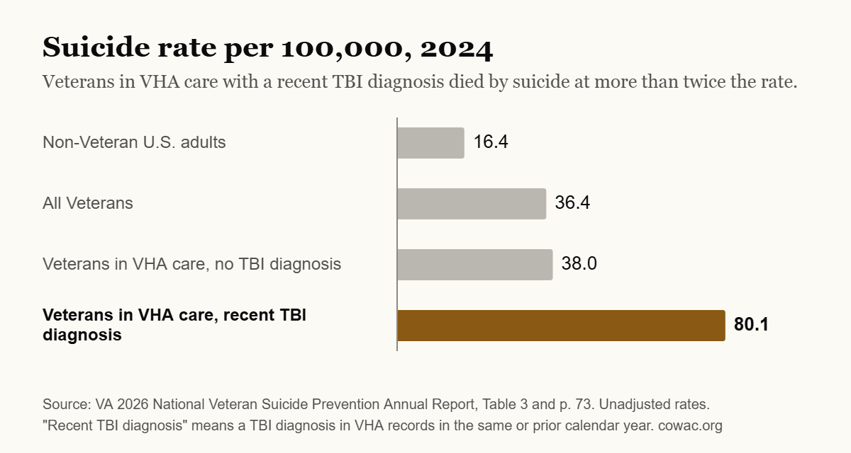 The VA’s 2026 Suicide Report: The TBI Gap Is Still There